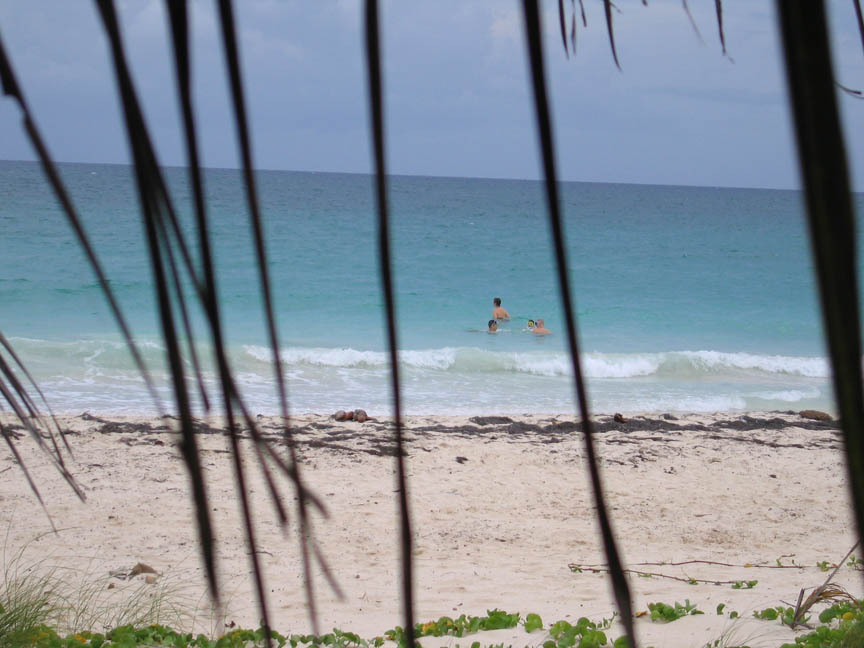 Waves on the Navio Beach picture 9528