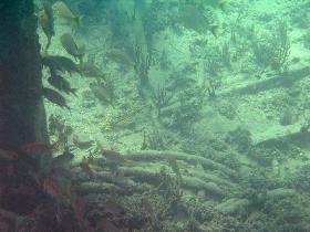 Under water aroud the old pier in Esperanza (July 2006) Under water aroud the old pier in Esperanza (July 2006)