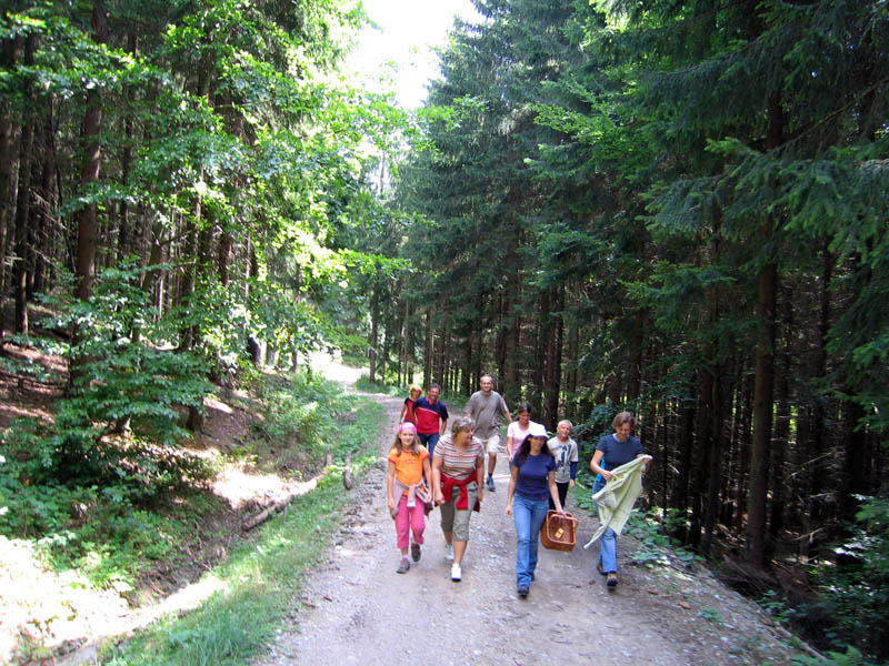 The mushroom picking trip picture 8210