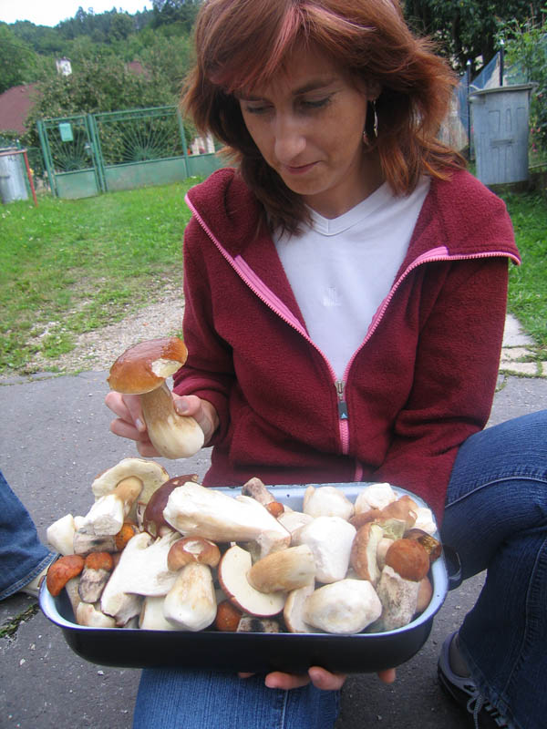 Nice porcini