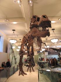 Museum of Natural History (September 2006) Museum of Natural History (September 2006)