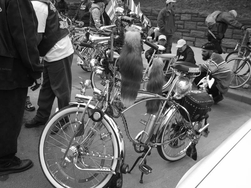 Bicycles and 'Bicycles' picture 9074