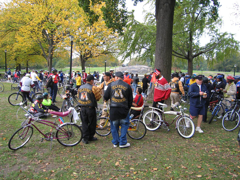 Bicycles and 'Bicycles' picture 9109