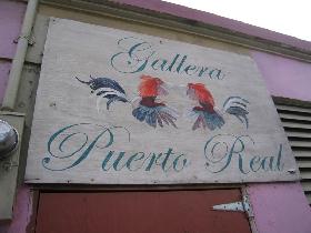 Rooster fights are popular here (December 2006) Rooster fights are popular here (December 2006)