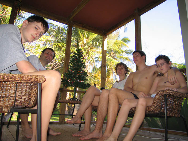 Christmas Day with palmtrees on the background