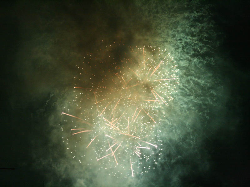 Firework picture 13356