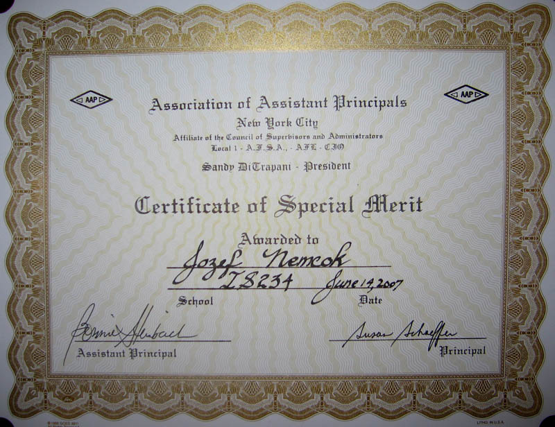 Certificate of Special Merit