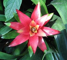 Botanical Garden (September 2007) Botanical Garden (September 2007)