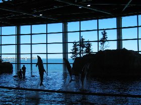 The pool opticaly continues into the Lake Michigan (September 2007) The pool opticaly continues into the Lake Michigan (September 2007)