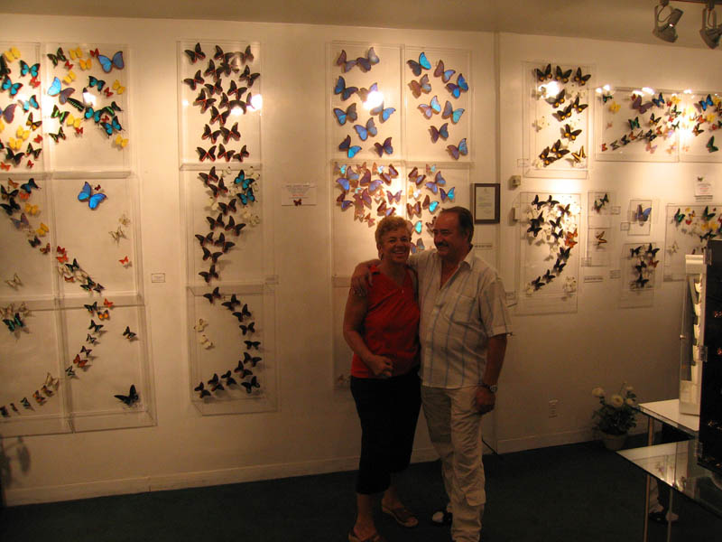 Butterfly art gallery at Pier 17