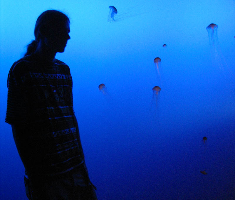 Jellyfish live in dark environment