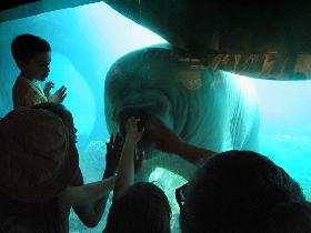 Coney Island Aquarium (June 2007) Coney Island Aquarium (June 2007)