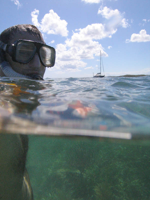 Autoportrait - corals visible under the surface