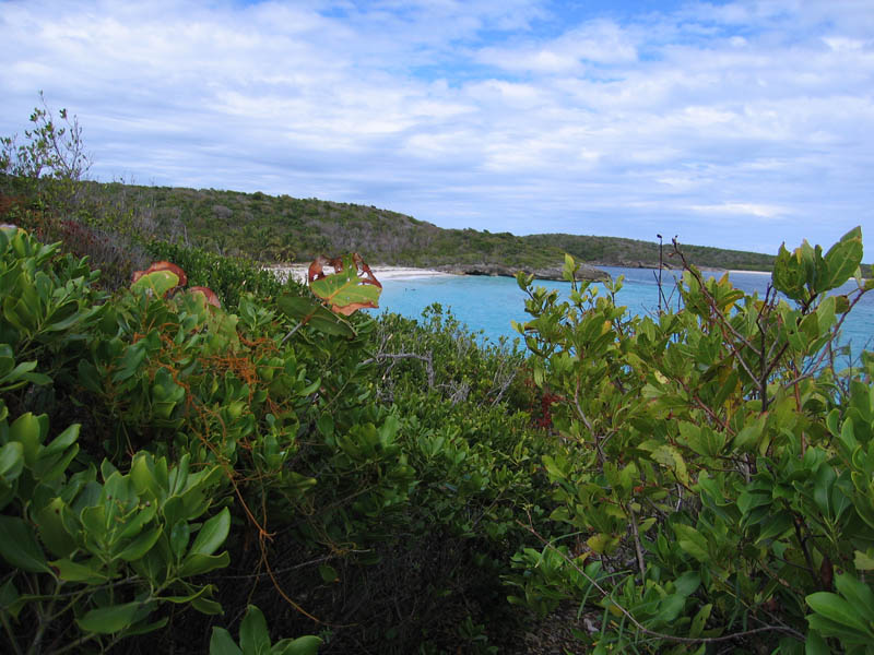 Walking the reefs picture 12598