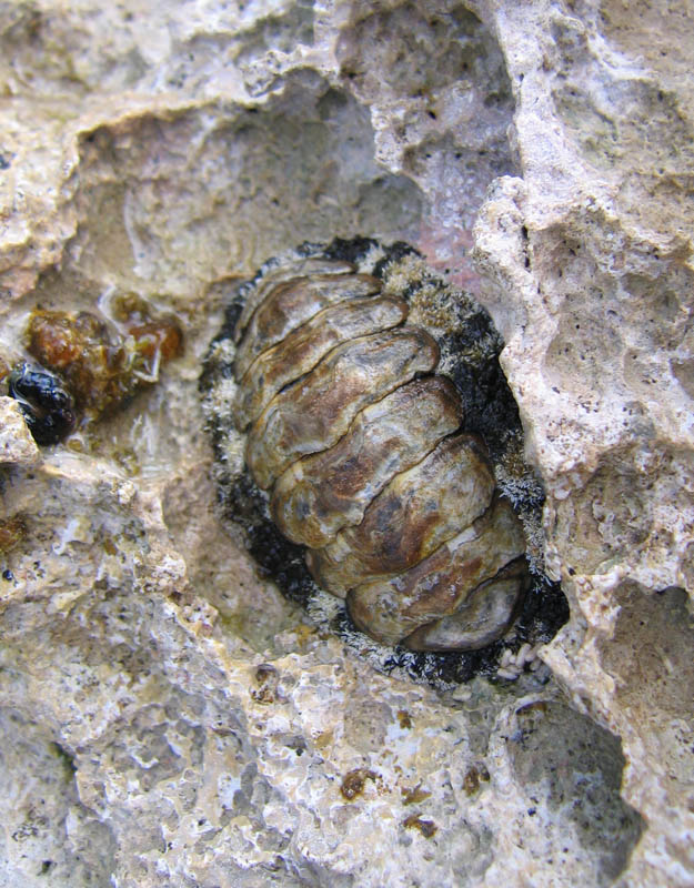 Walking the reefs picture 11878