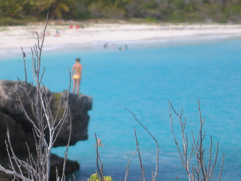 Walking the reefs picture 11892