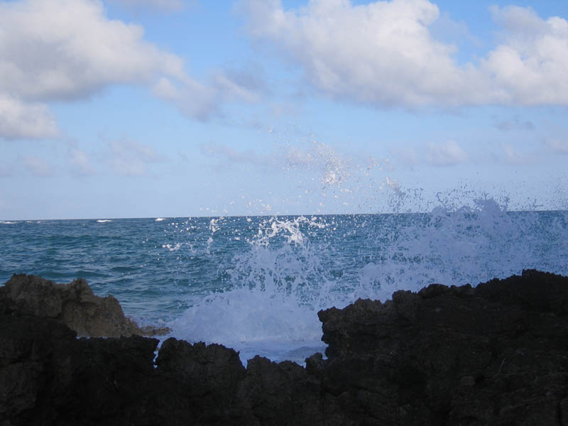 Walking the reefs picture 11896