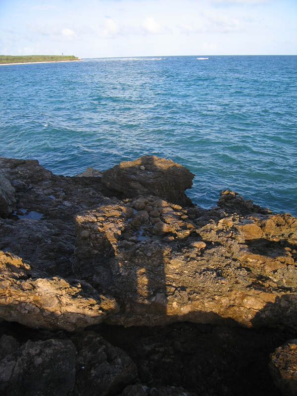 My shadow on the reef