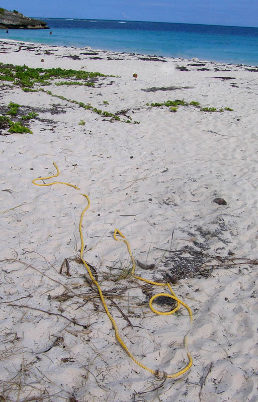 Mysterious rope - holds tight in the sand