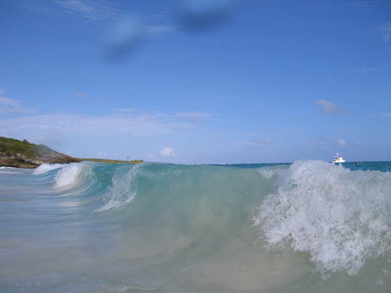 On the beach and in the waves picture 11845