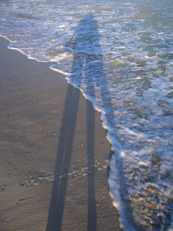 On the beach and in the waves picture 11863