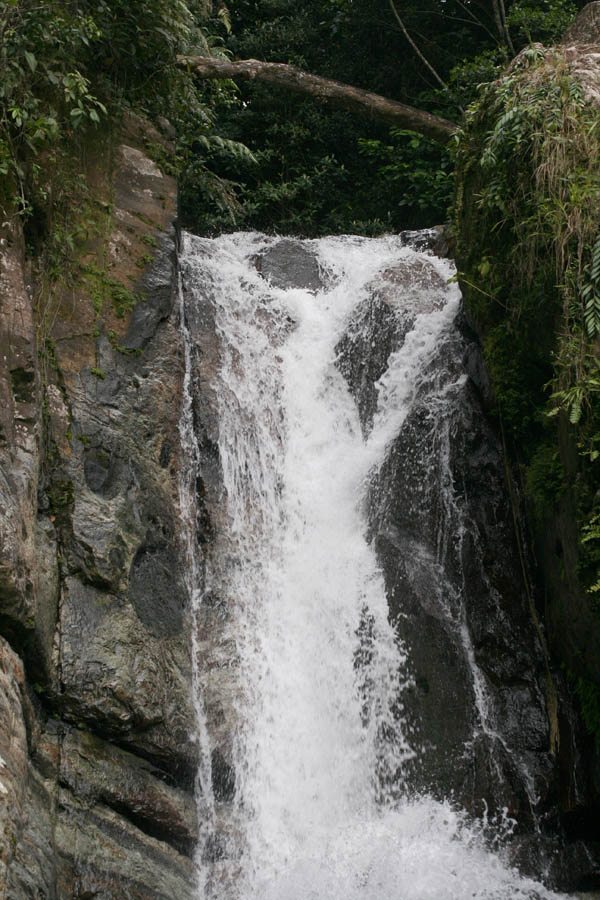 La Mina Waterfall picture 15591