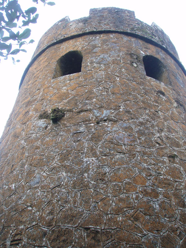 Mt. Britton Lookout Tower