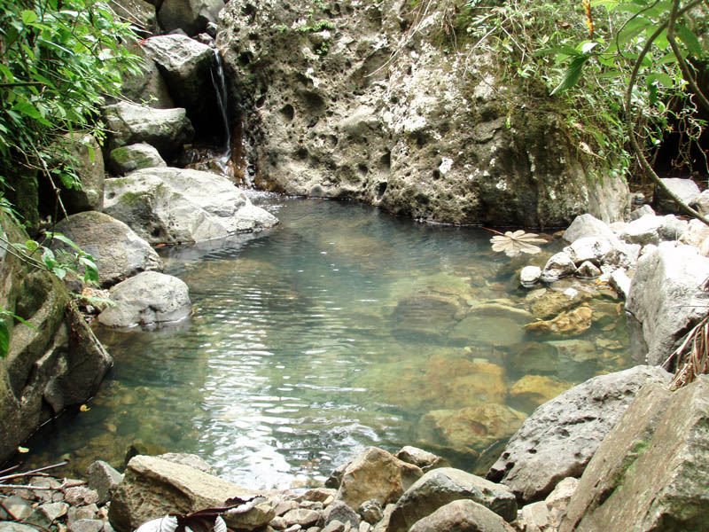 El Yunque - tropický dažďový les obrázok 15586