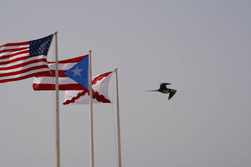 Frigate flying behind the flags of USA, Puerto Rico, and the 'Cross of Burgundy/srch]'  (August 2007)