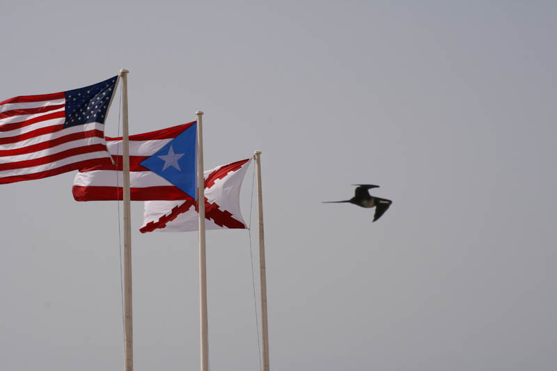 Frigate flying behind the flags of USA, Puerto Rico, and the 'Cross of Burgundy/srch]'