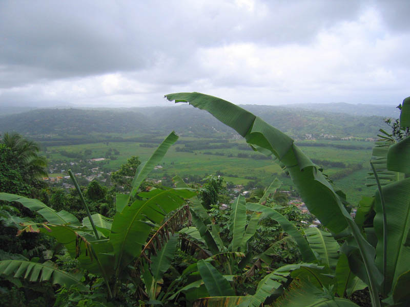 A view from the hill on the way