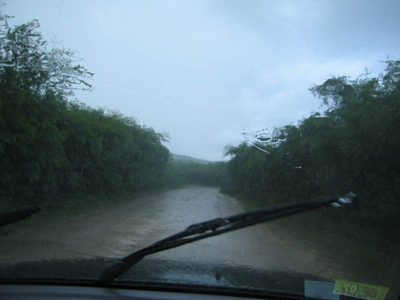 It's still pouring while on the way to the beach