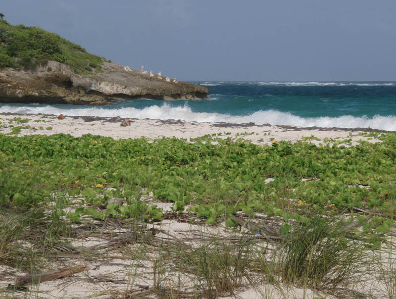 ...while he was preparing for this picture. BTW, this is one of the last pictures of the famous Navio rock sculptures. In about ten days, hurricane Dean is about to tear them down.