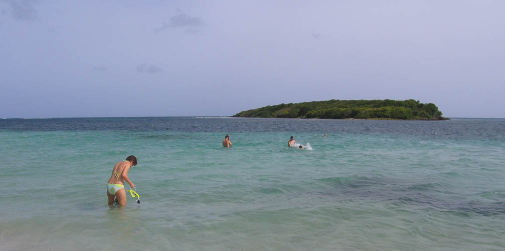 Zvonec had decided to swim to the island