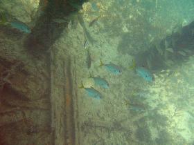 Old Pier (August 2007) Old Pier (August 2007)