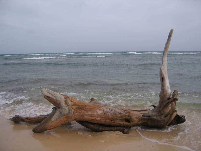 Pláže na Viequese obrázok 15622