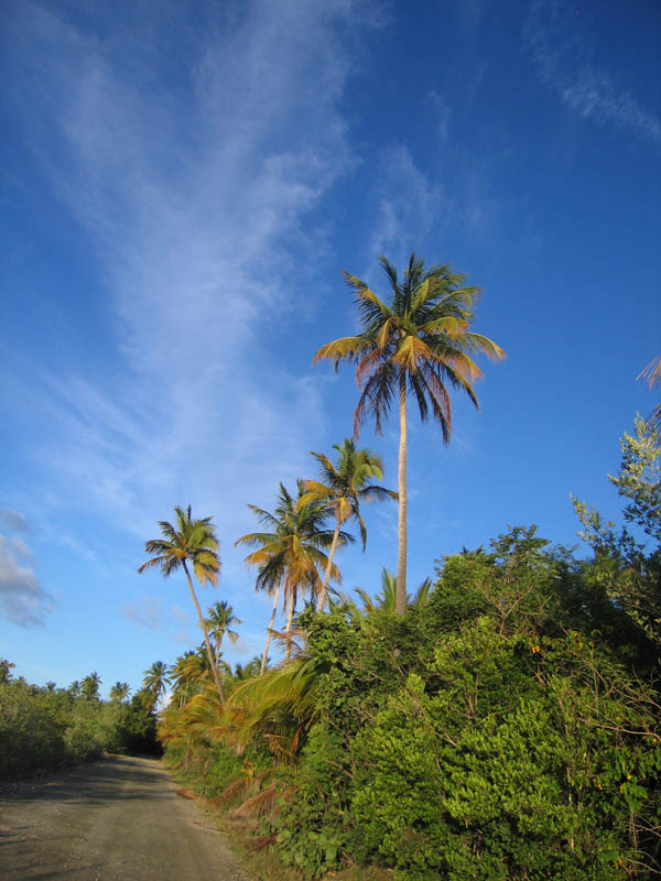 Conch hunting at Green Beach (August 2007)