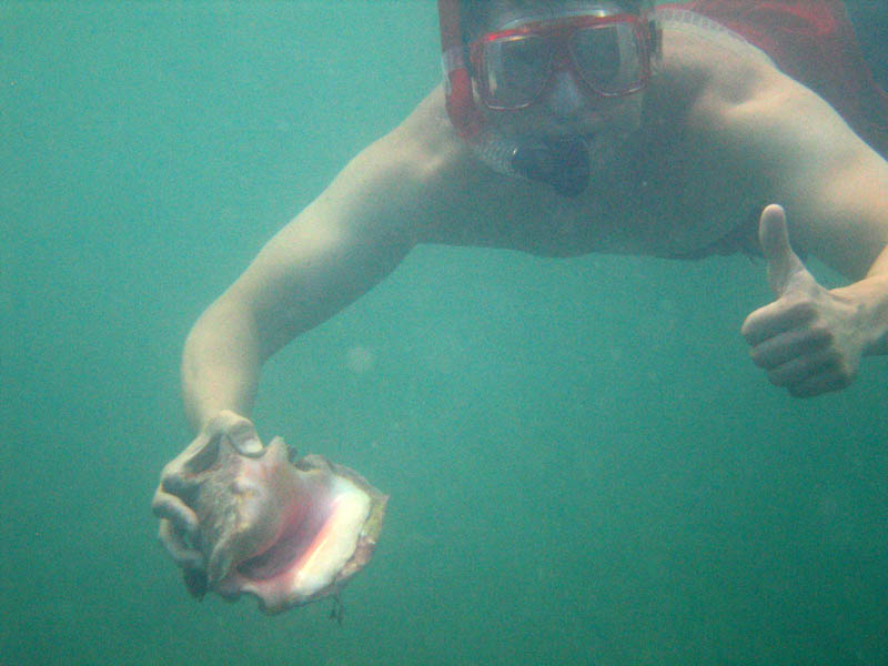 Conch hunting at Green Beach picture 13722