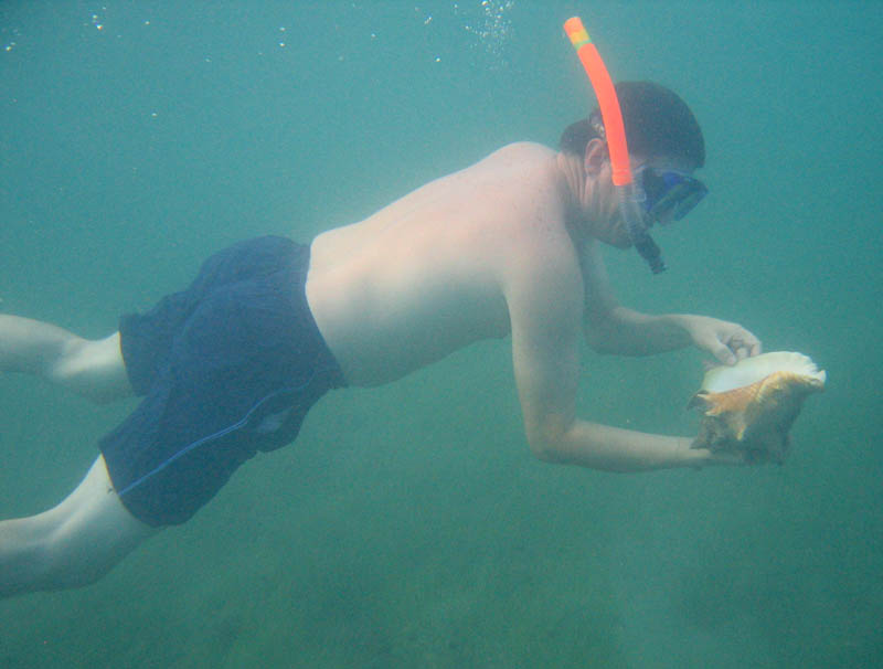 Conch hunting at Green Beach picture 14144