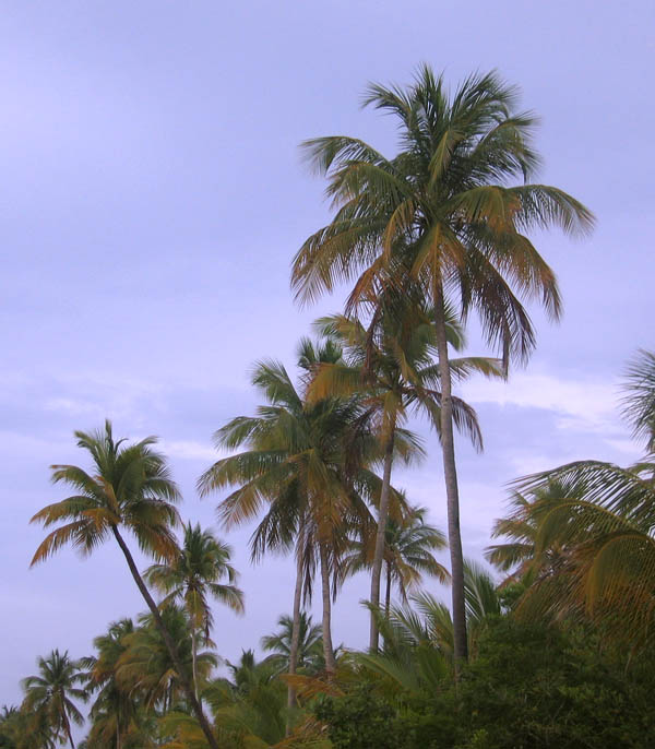 Laguna Kiani and around picture 16070