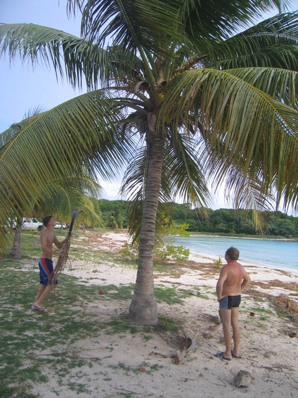 How about the coconuts? (August 2007)