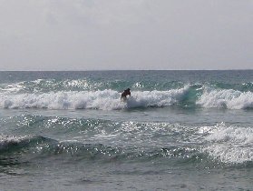 Surfer (July 2008) Surfer (July 2008)