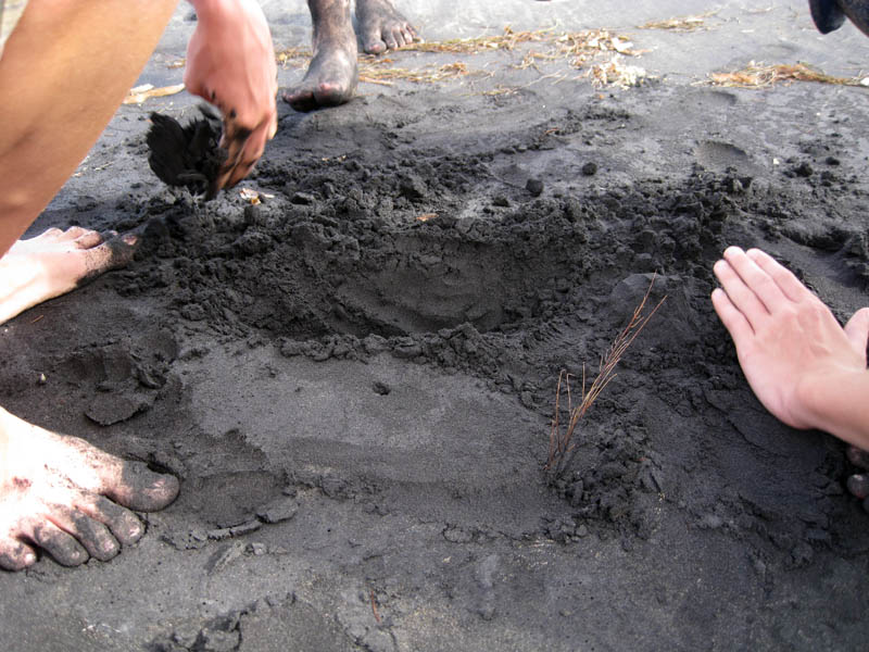 Playa Negrita - the black sand beach picture 17728