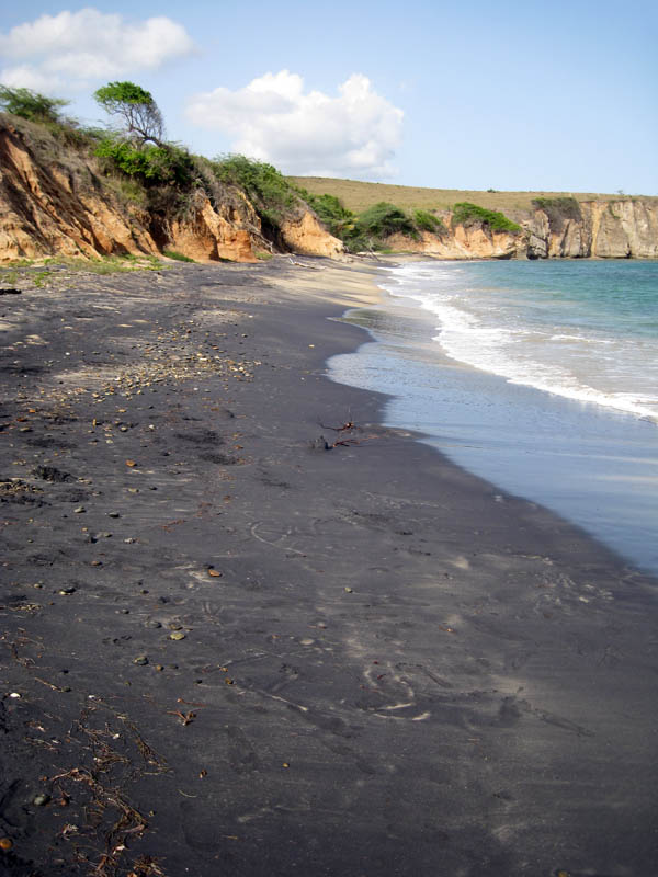 Playa Negrita - the black sand beach picture 17719