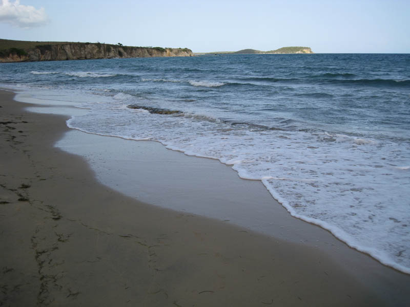 Playa Negrita - the black sand beach picture 17722