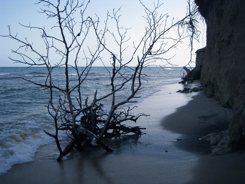 Playa Negrita - the black sand beach picture 17727