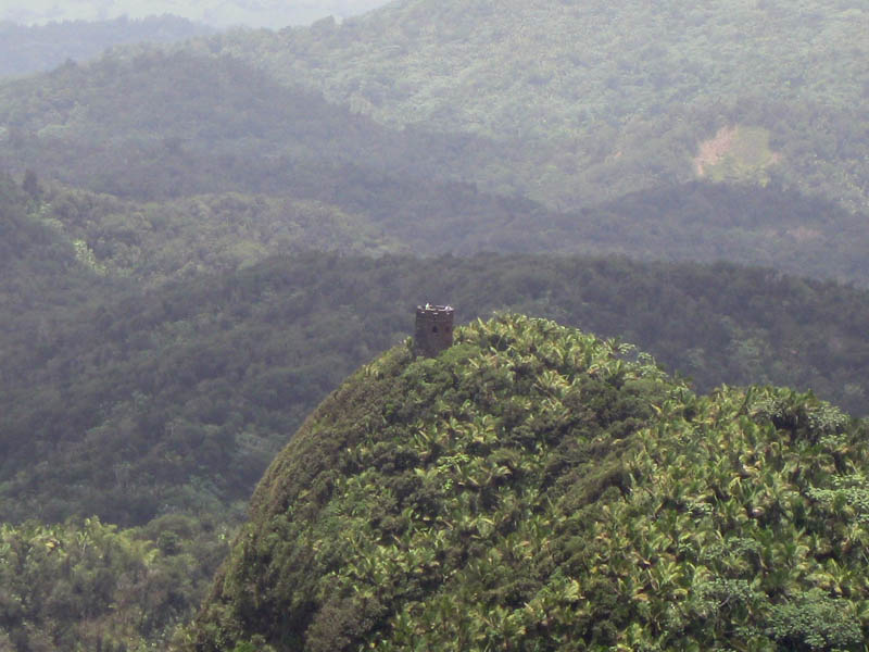 Lookout tower at Mt. Britton