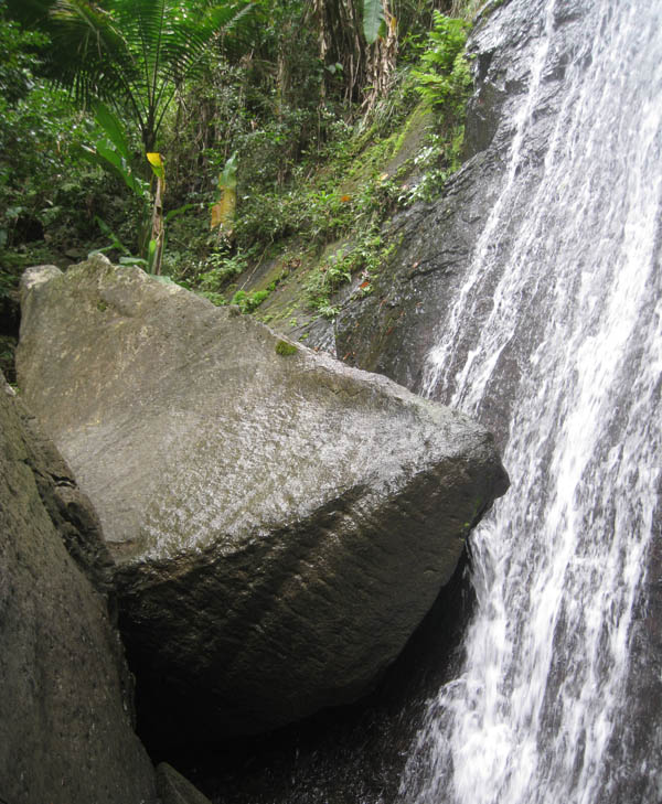 El Yunque - the rainforest picture 18195