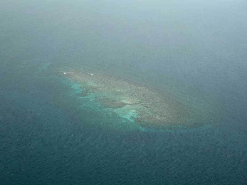 Big coral reef just under the surface