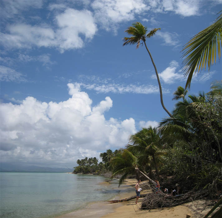 Green Beach picture 17500